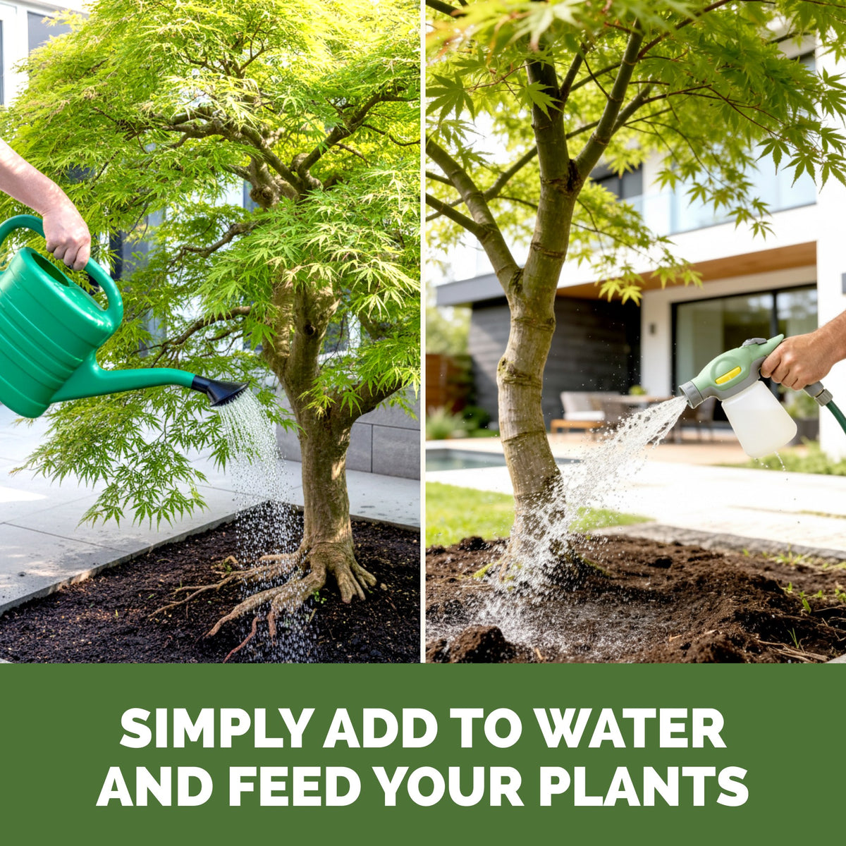 Feeding japanese maple with TPS Japanese Maple Fertilizer by watering can or hose-end sprayer [how-to]
