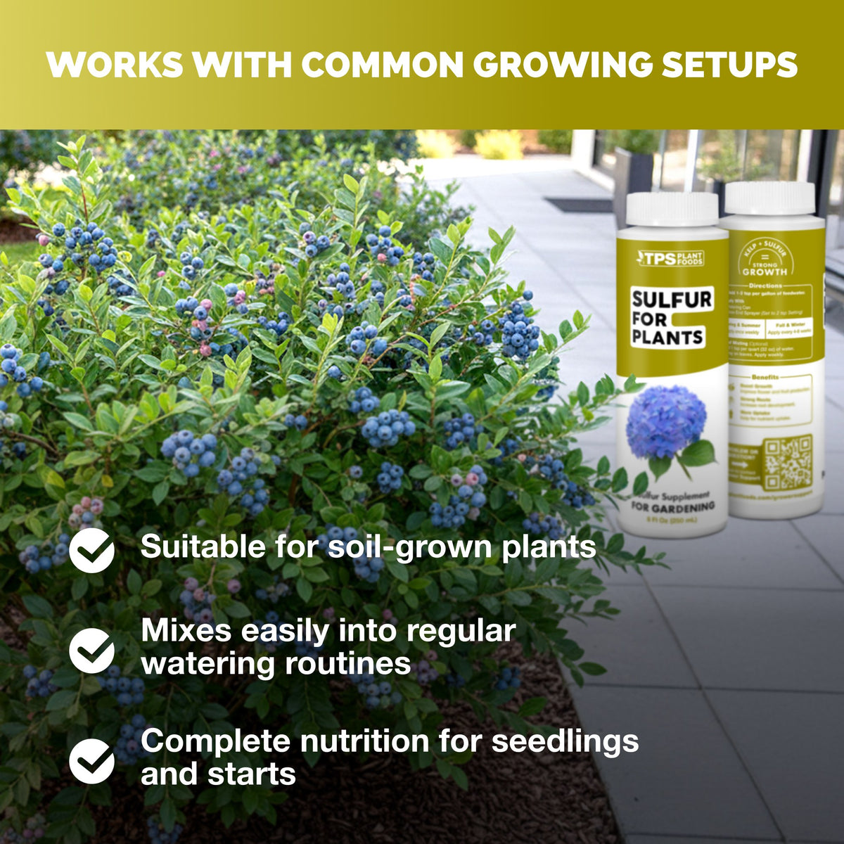 Sulfur for Plants — slide 6
