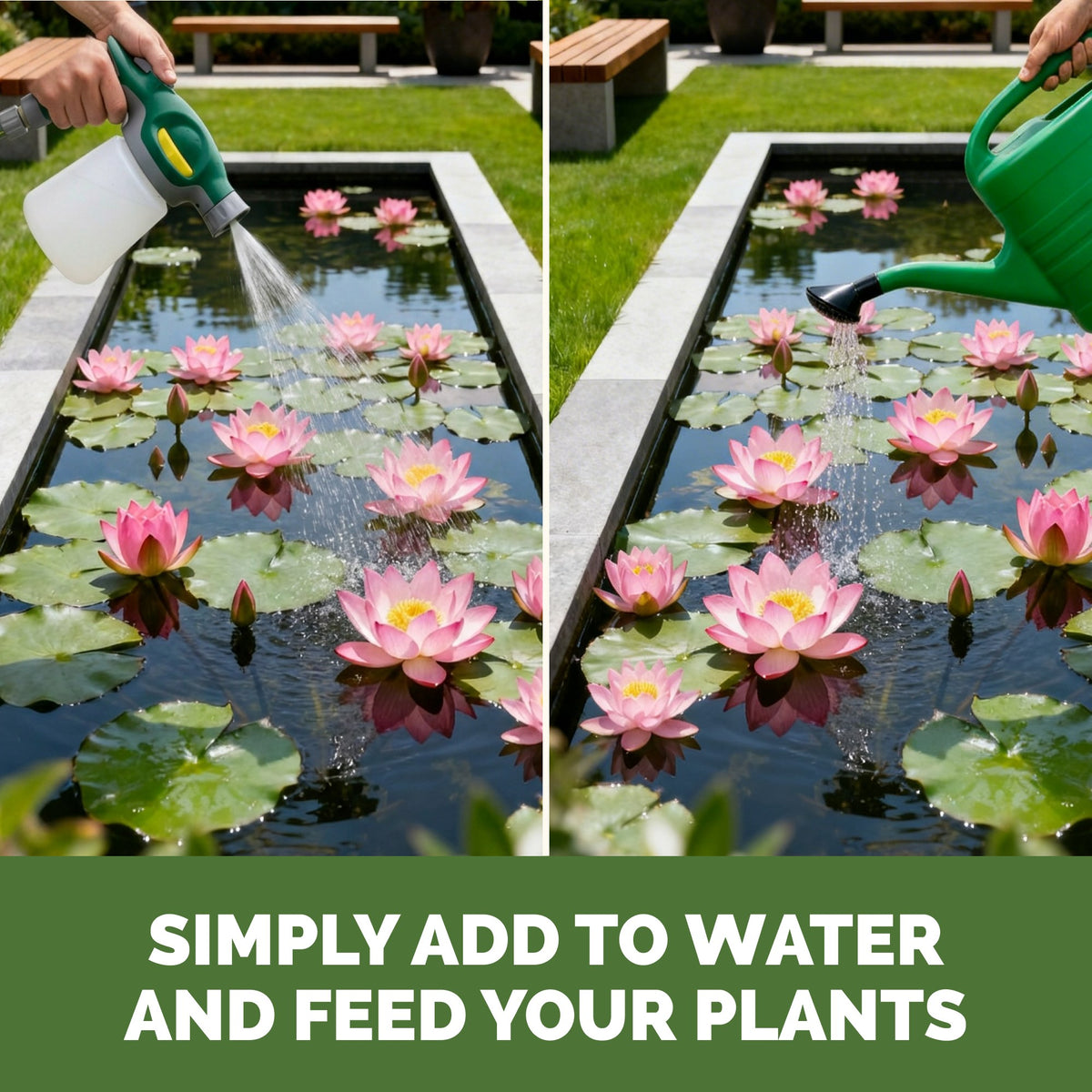 Simply add to water and feed your plants: a hose-end sprayer and a watering can applying TPS Water Garden Fertilizer over a water lily pond [how-to]