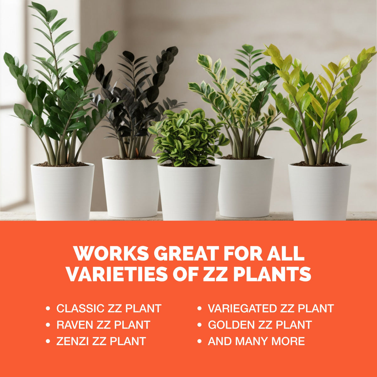 ZZ Plant Fertilizer — slide 6