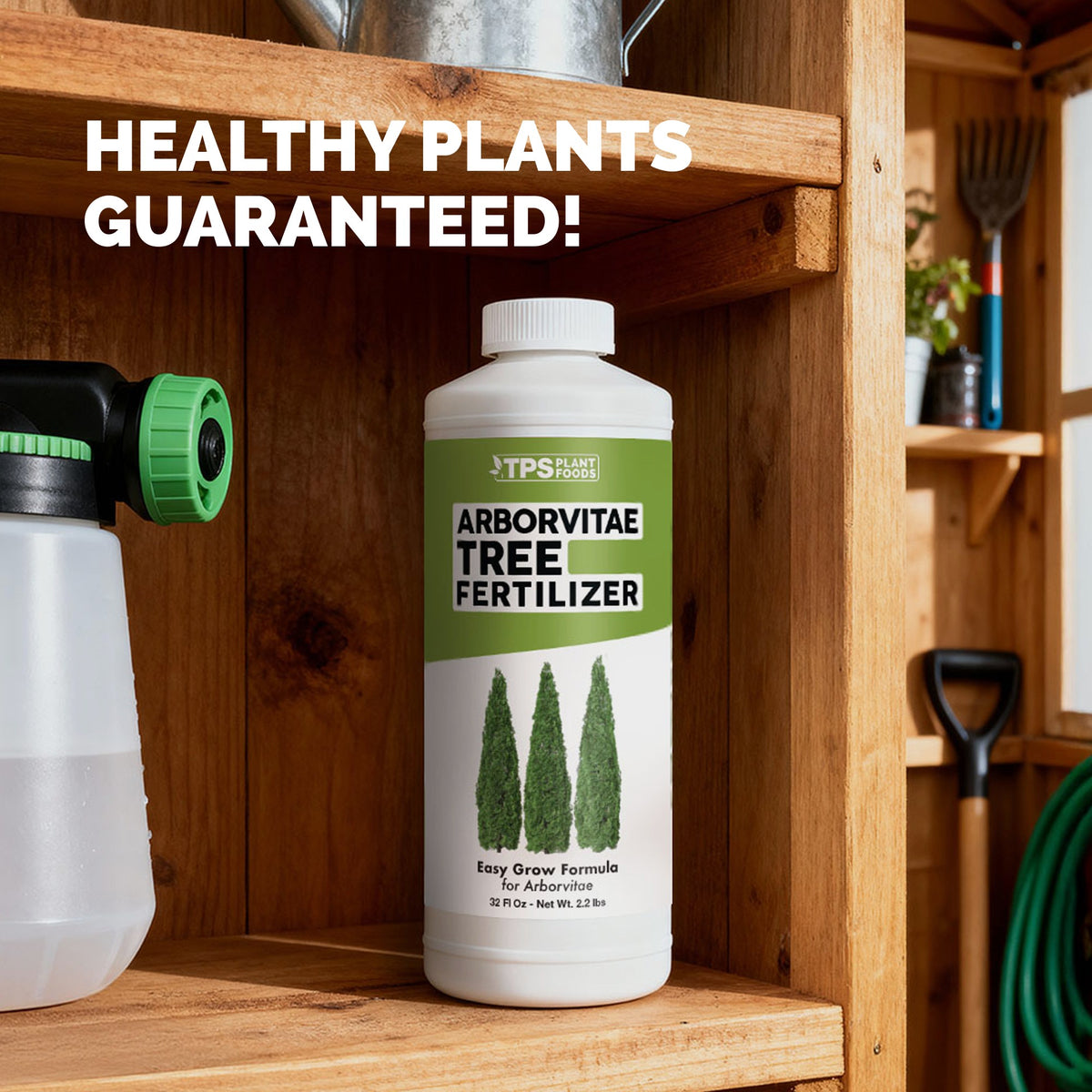 Arborvitae Fertilizer — slide 7