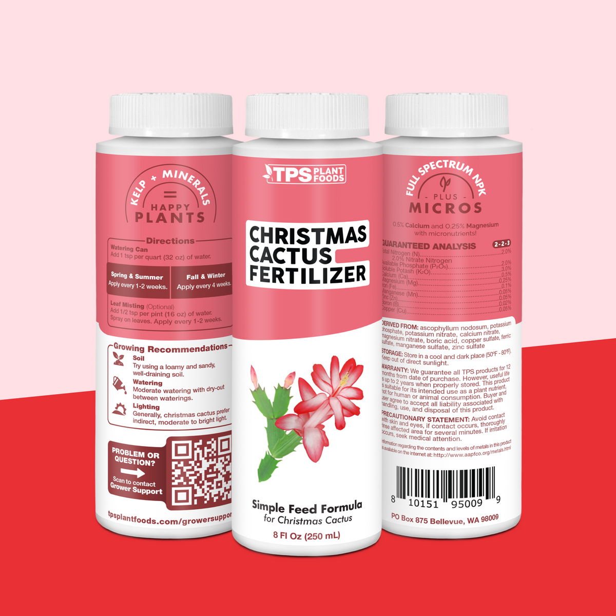 Christmas Cactus Fertilizer — slide 7