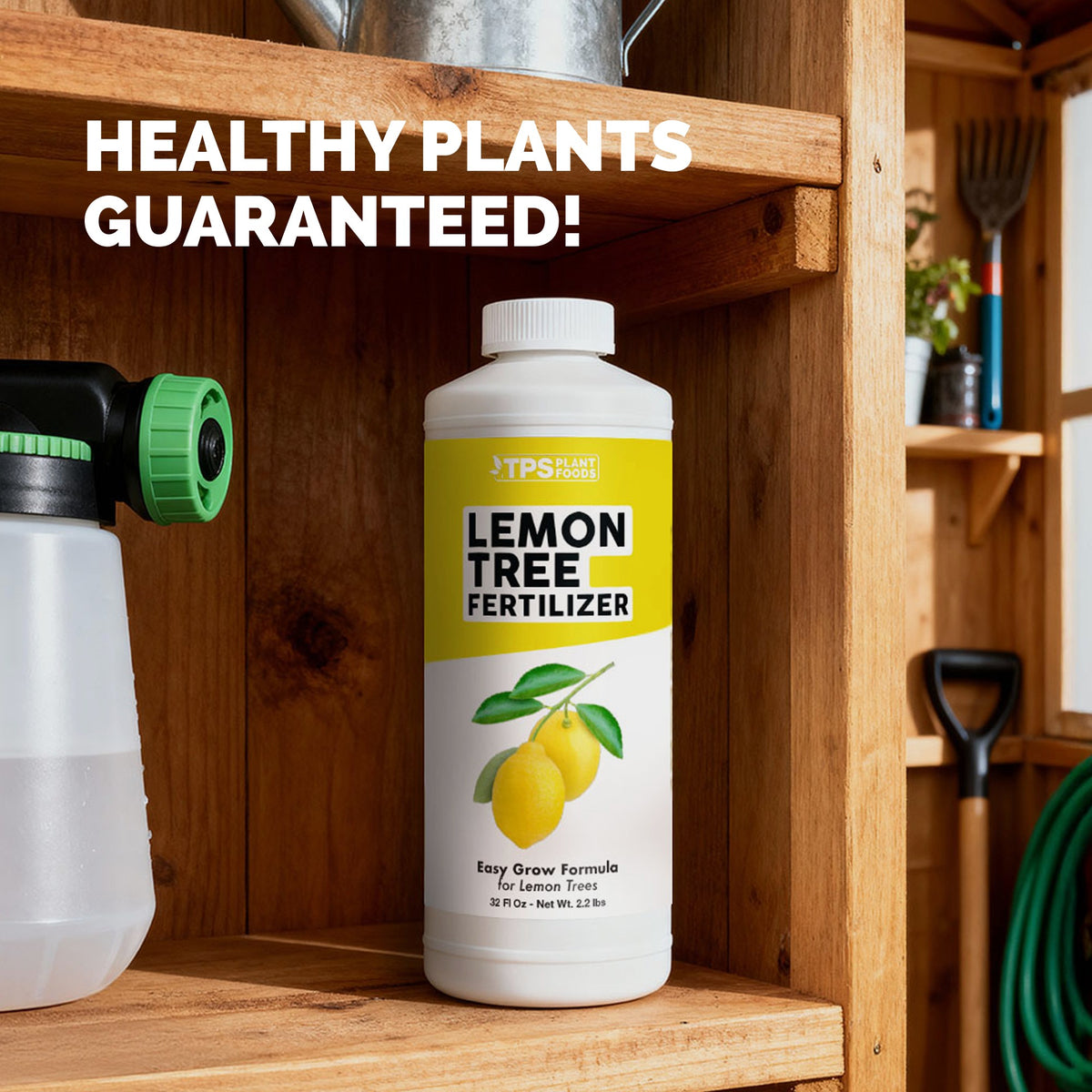 Lemon Tree Fertilizer — slide 7