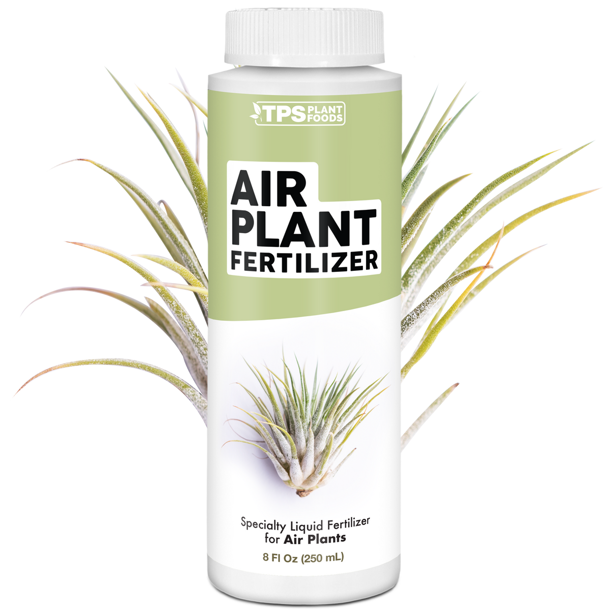 Air Plant Fertilizer - 8 Ounce