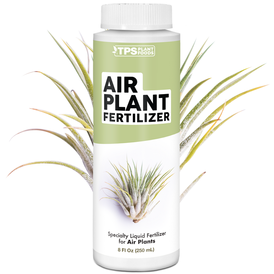 Air Plant Fertilizer