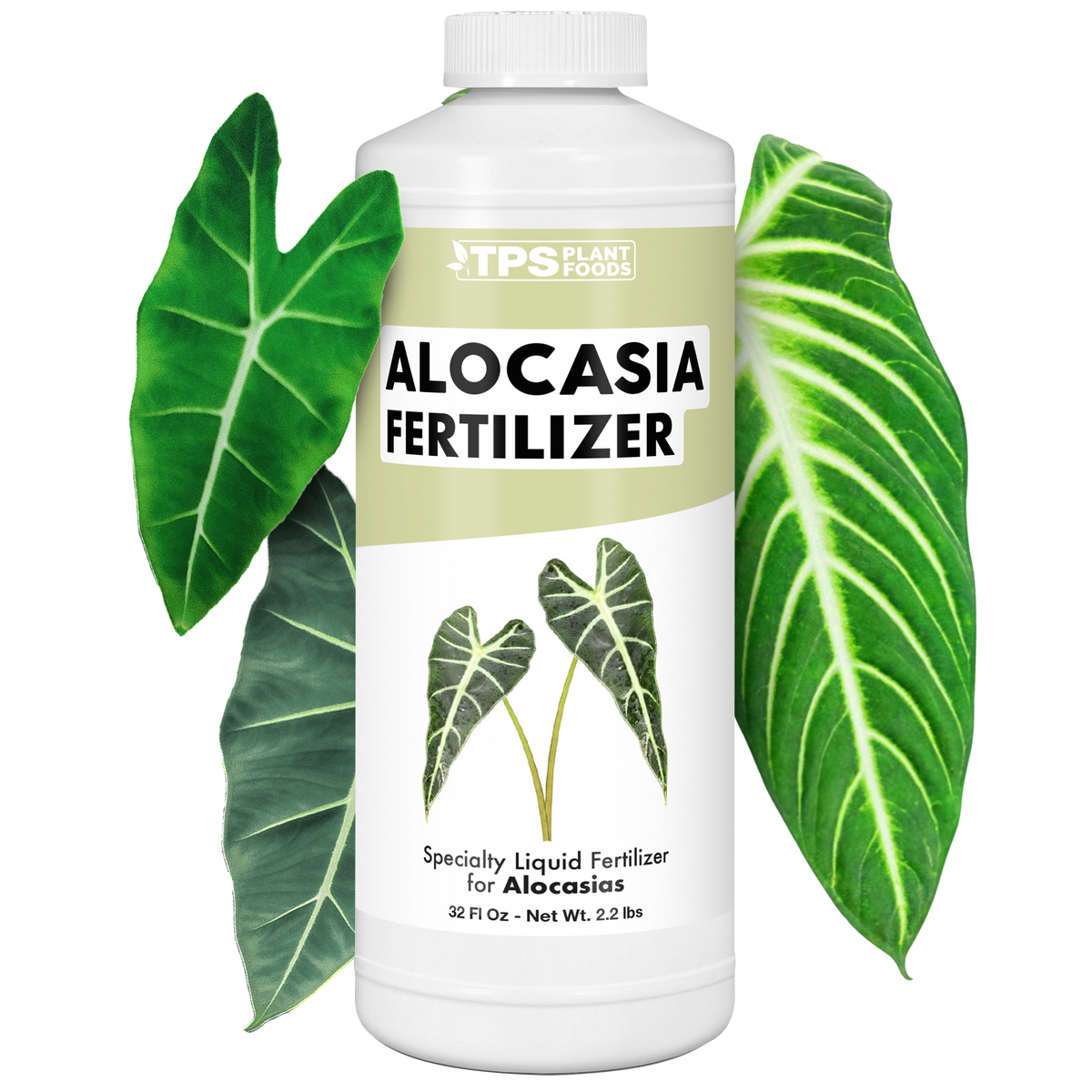 Alocasia Fertilizer - 32 Ounce