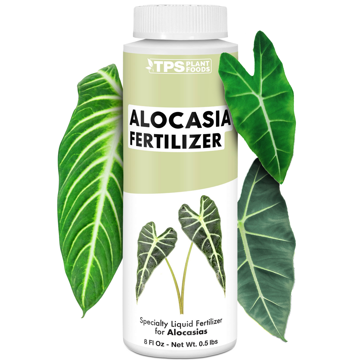 Alocasia Fertilizer - 8 Ounce