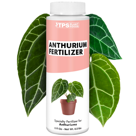 Anthurium Fertilizer