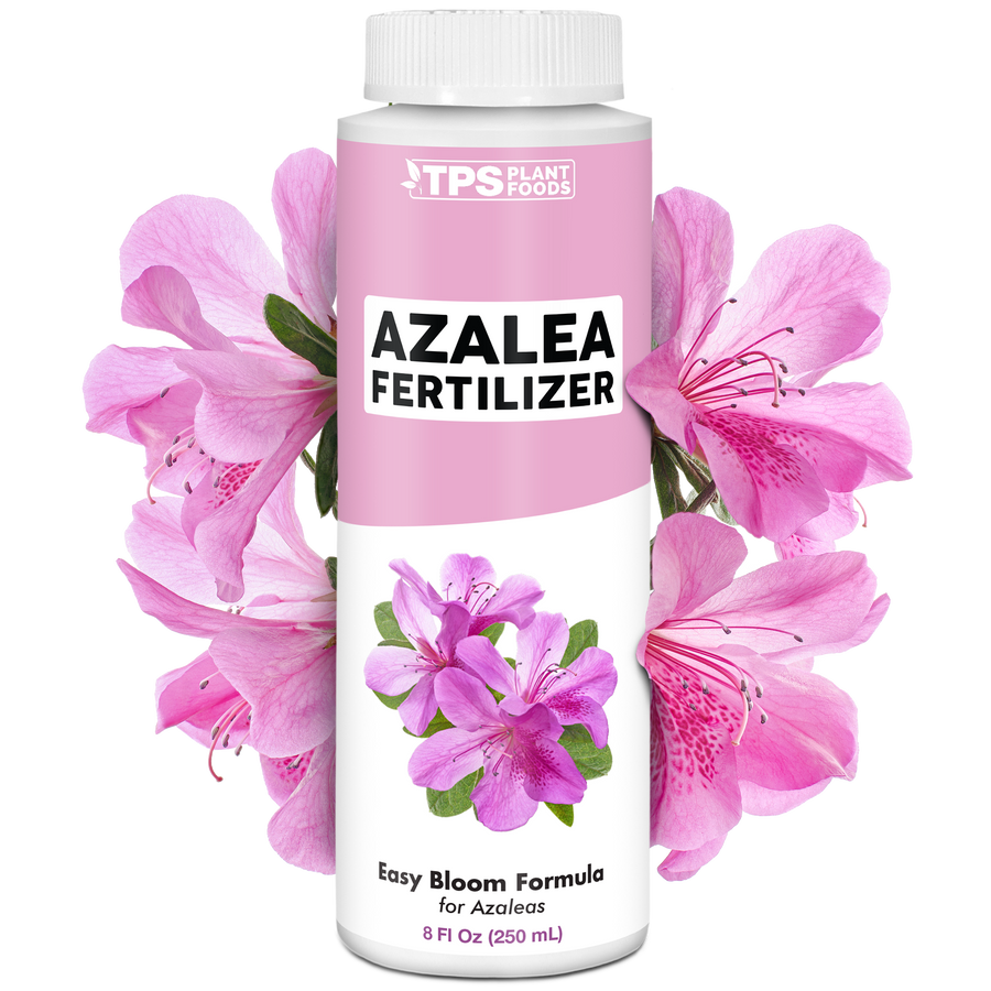 Azalea Fertilizer