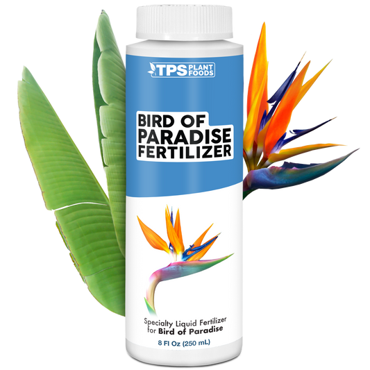 Bird of Paradise Fertilizer