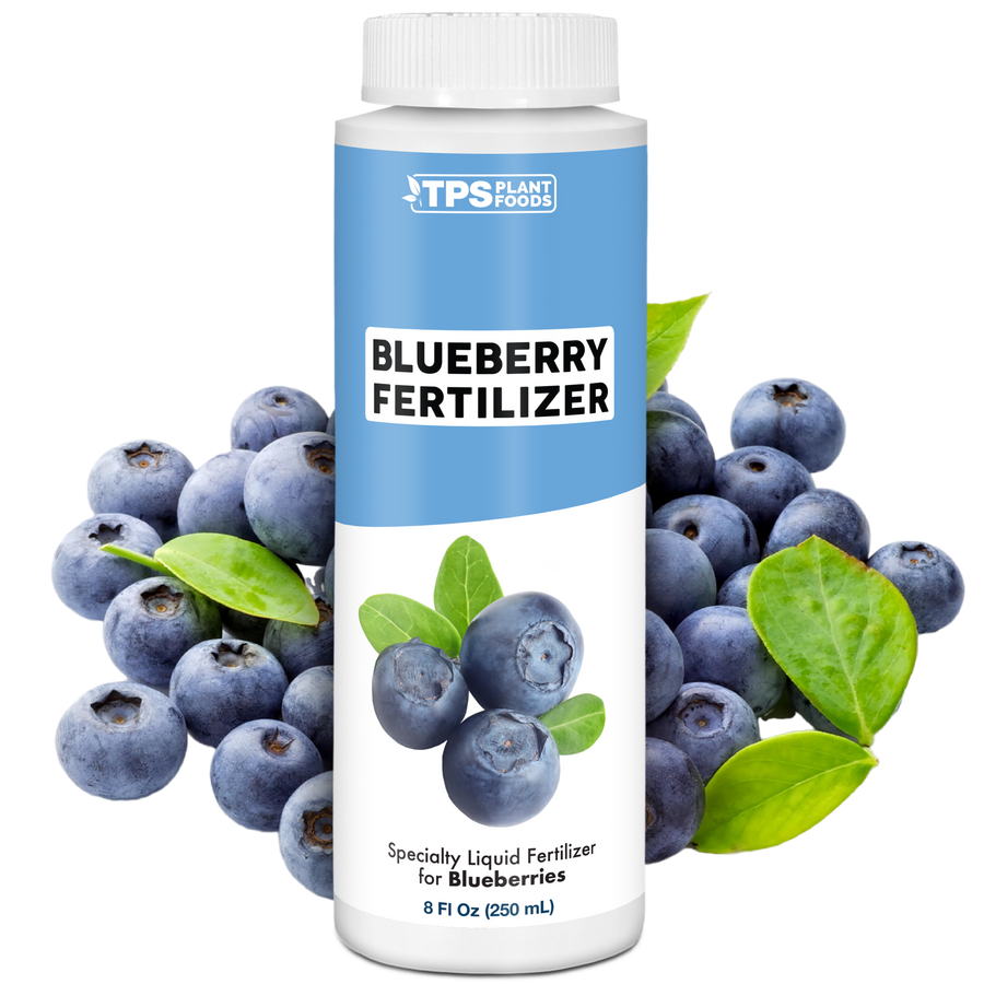 Blueberry Fertilizer