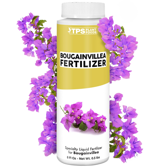 Bougainvillea Fertilizer