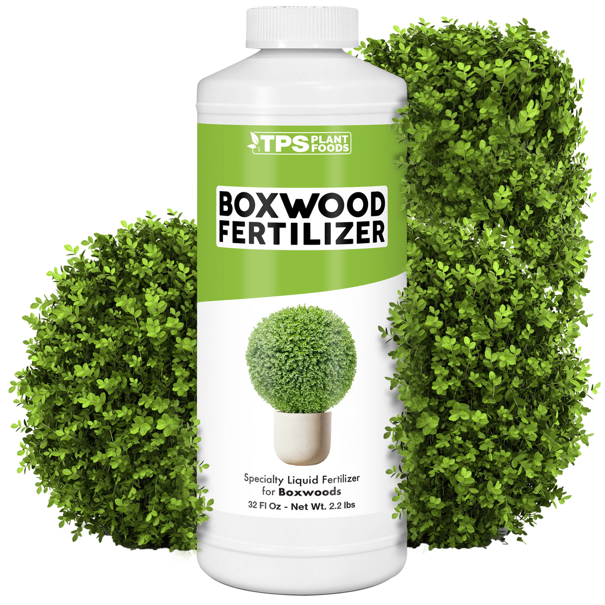 Boxwood Fertilizer - 32 Ounce