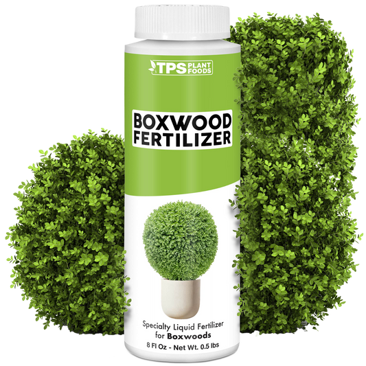 TPS Plant Foods Boxwood Fertilizer product package