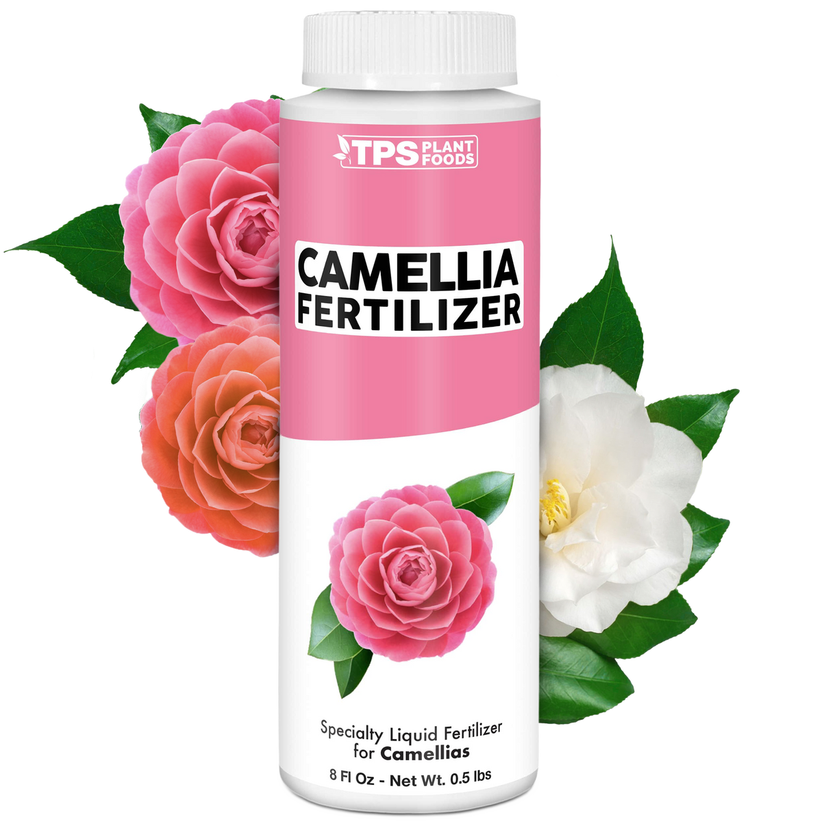 Camellia Fertilizer - 8 Ounce