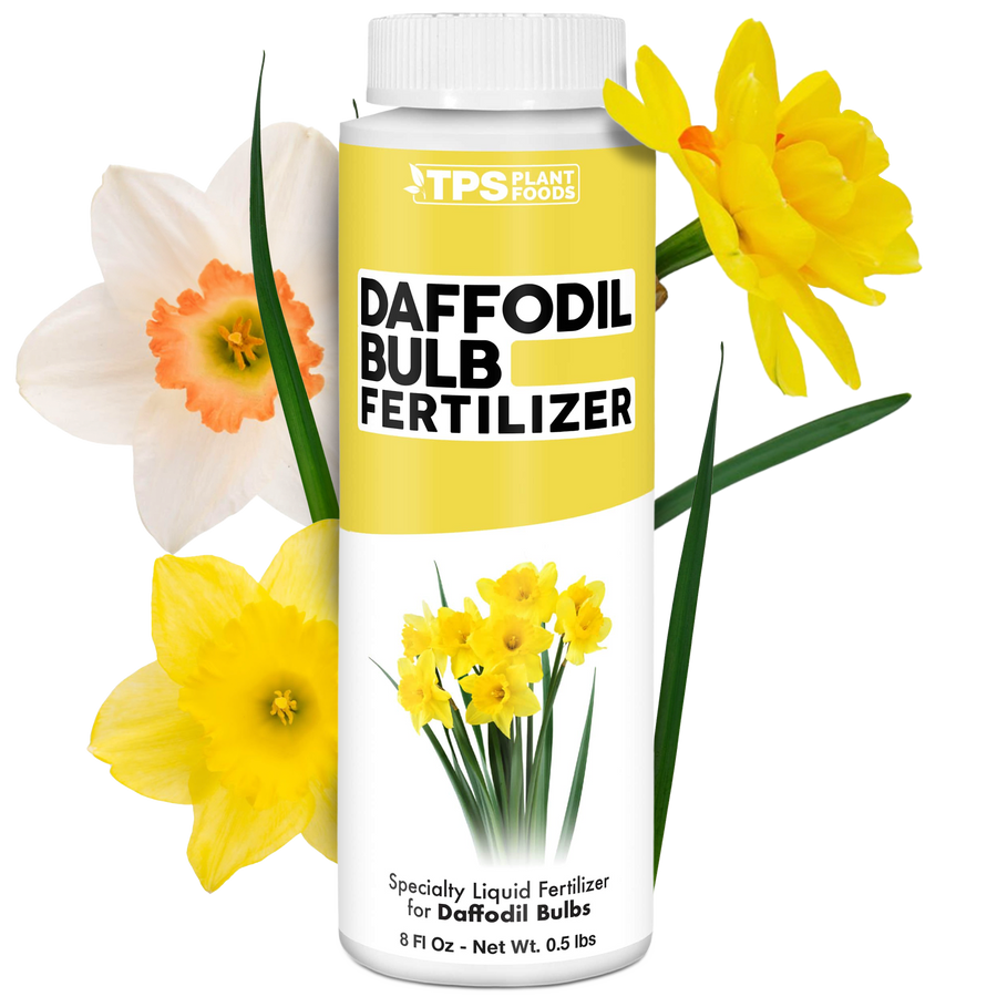Daffodil Bulb Fertilizer