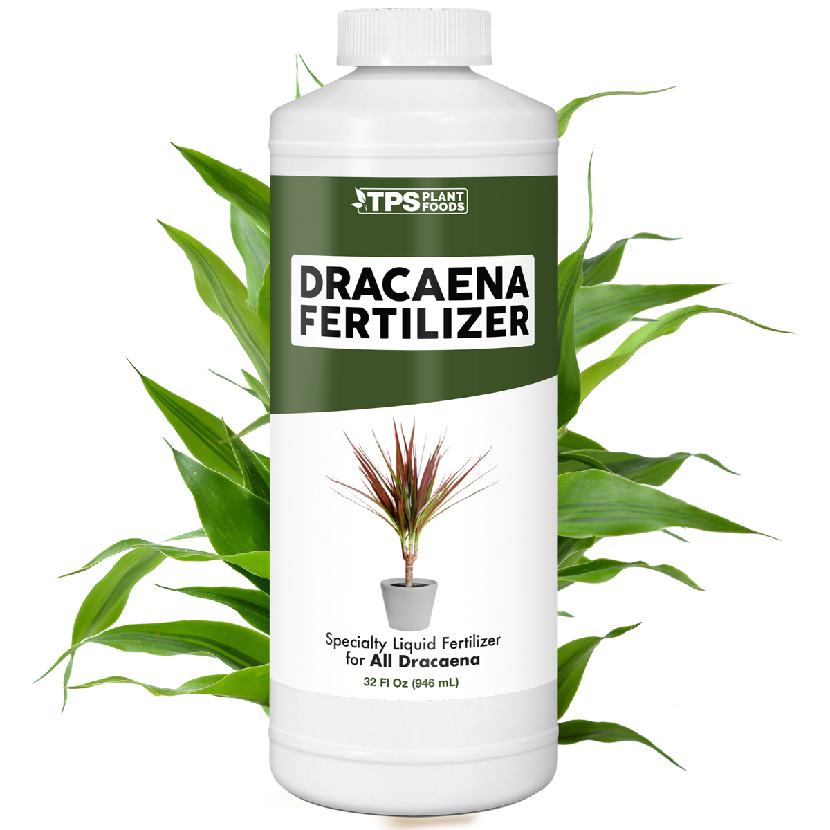 Dracaena Fertilizer - 32 Ounce
