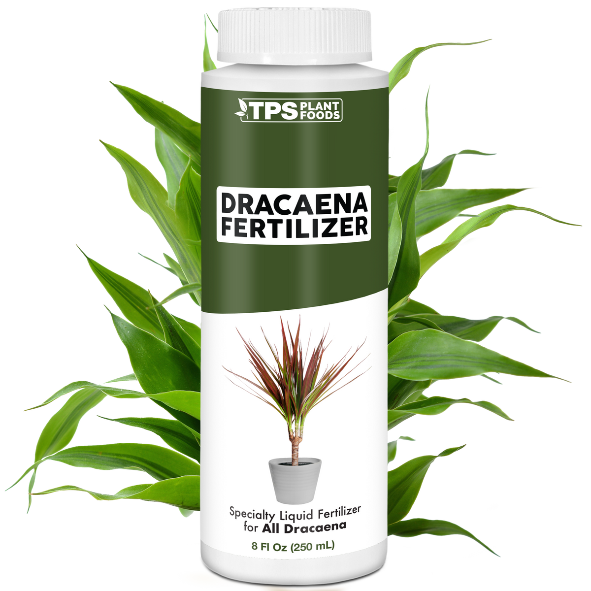 Dracaena Fertilizer - 8 Ounce