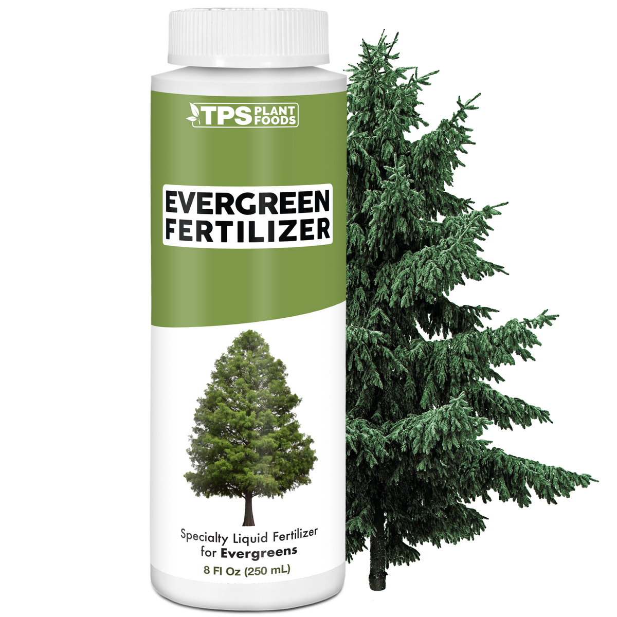 Evergreen Fertilizer - 8 Ounce