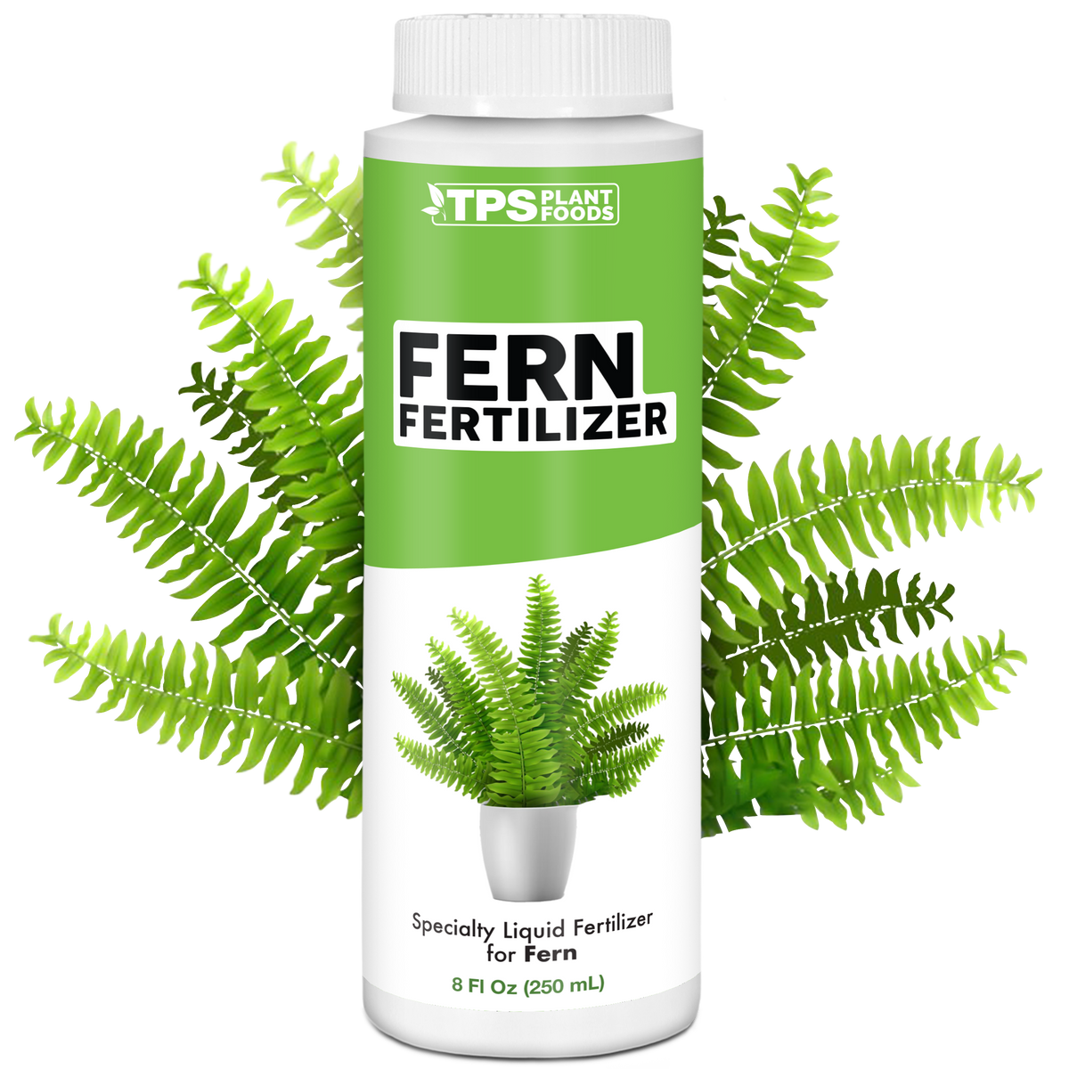 Fern Fertilizer - 8 Ounce