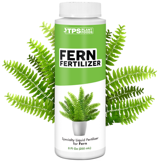 Fern Fertilizer