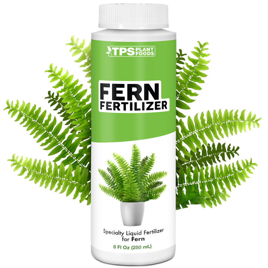 Fern Fertilizer