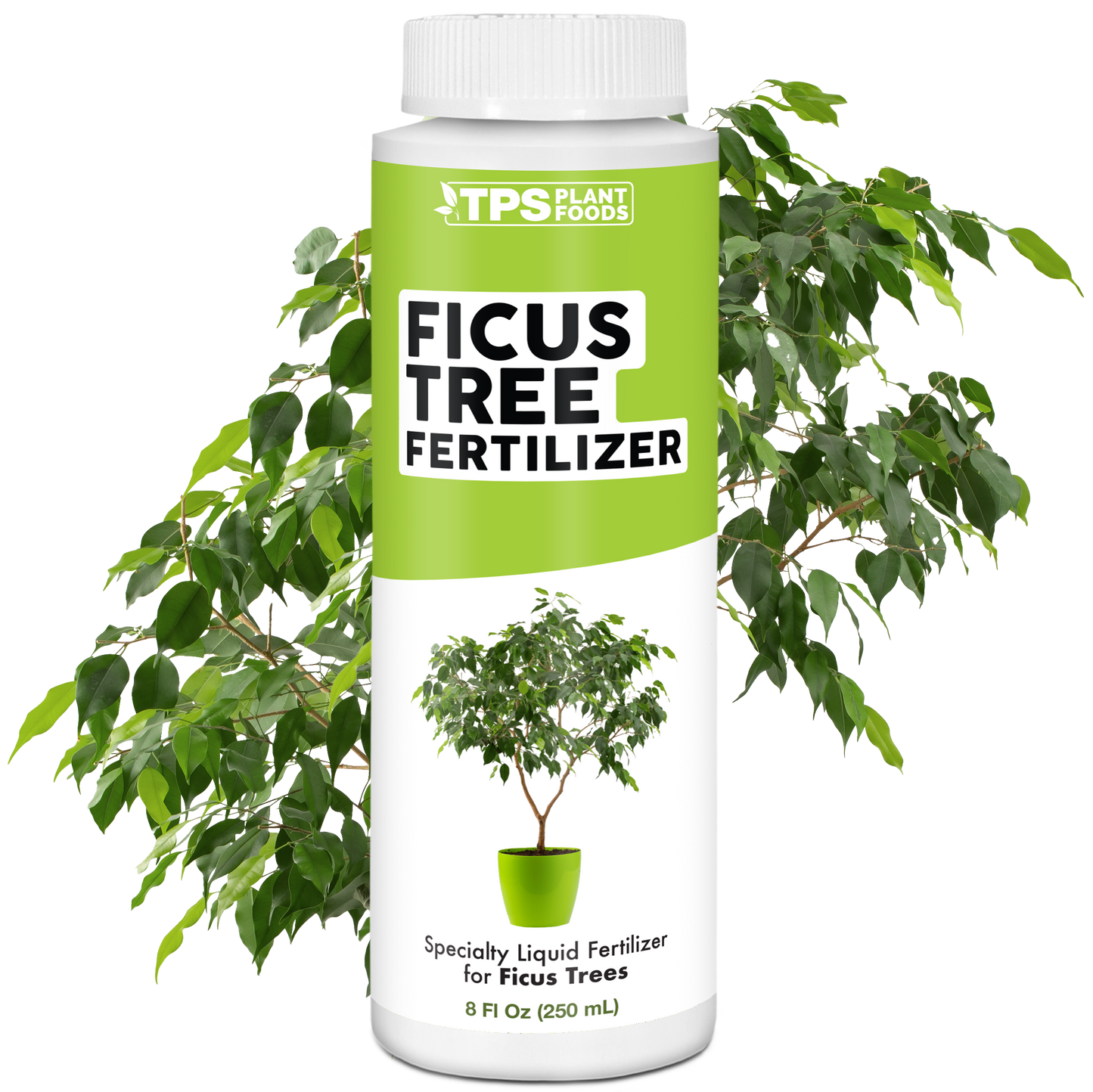 Ficus Fertilizer