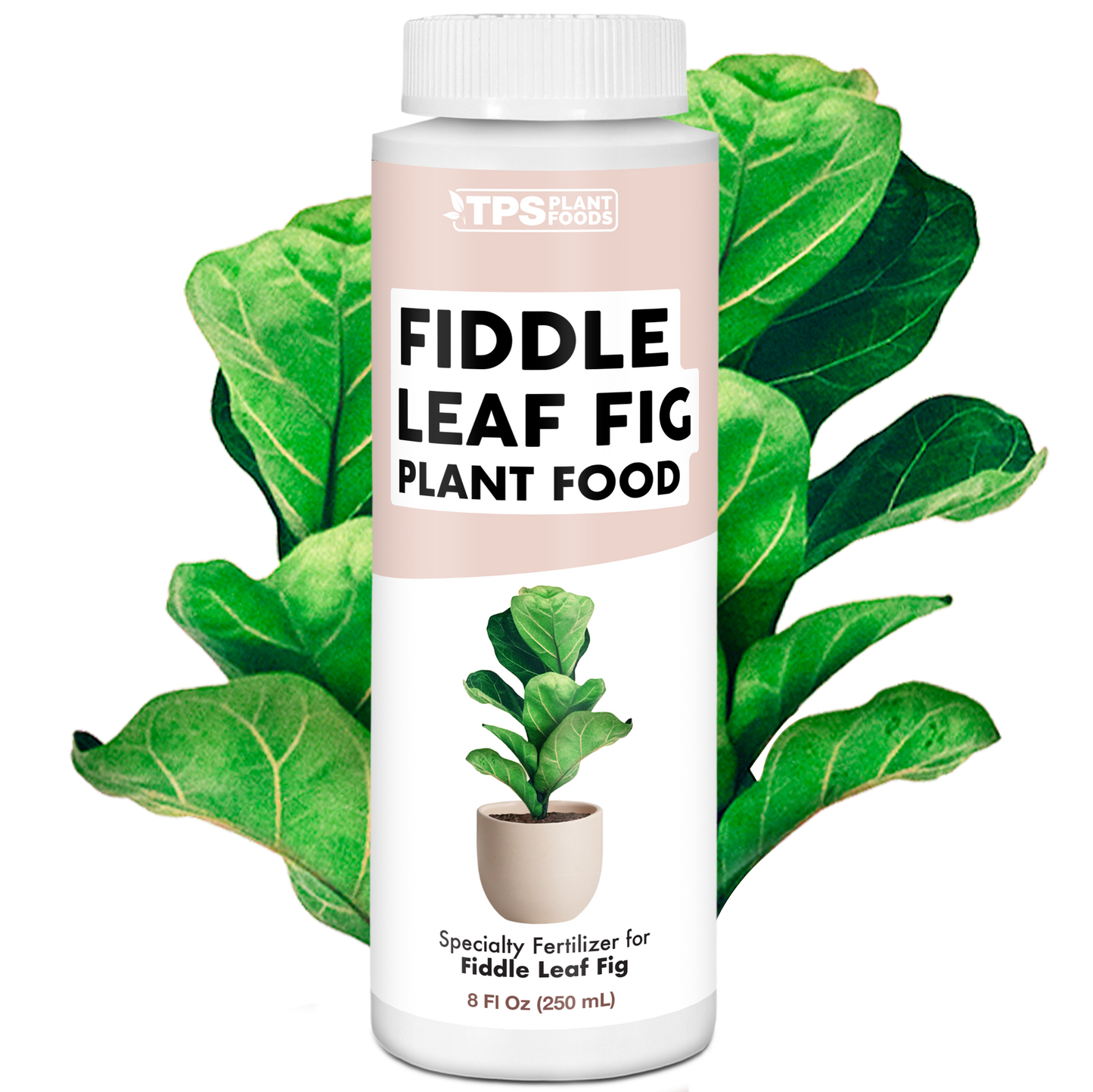 Fiddle Leaf Fig Plant Food