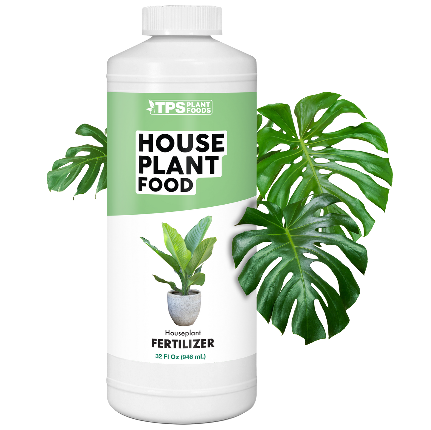 House Plant Food