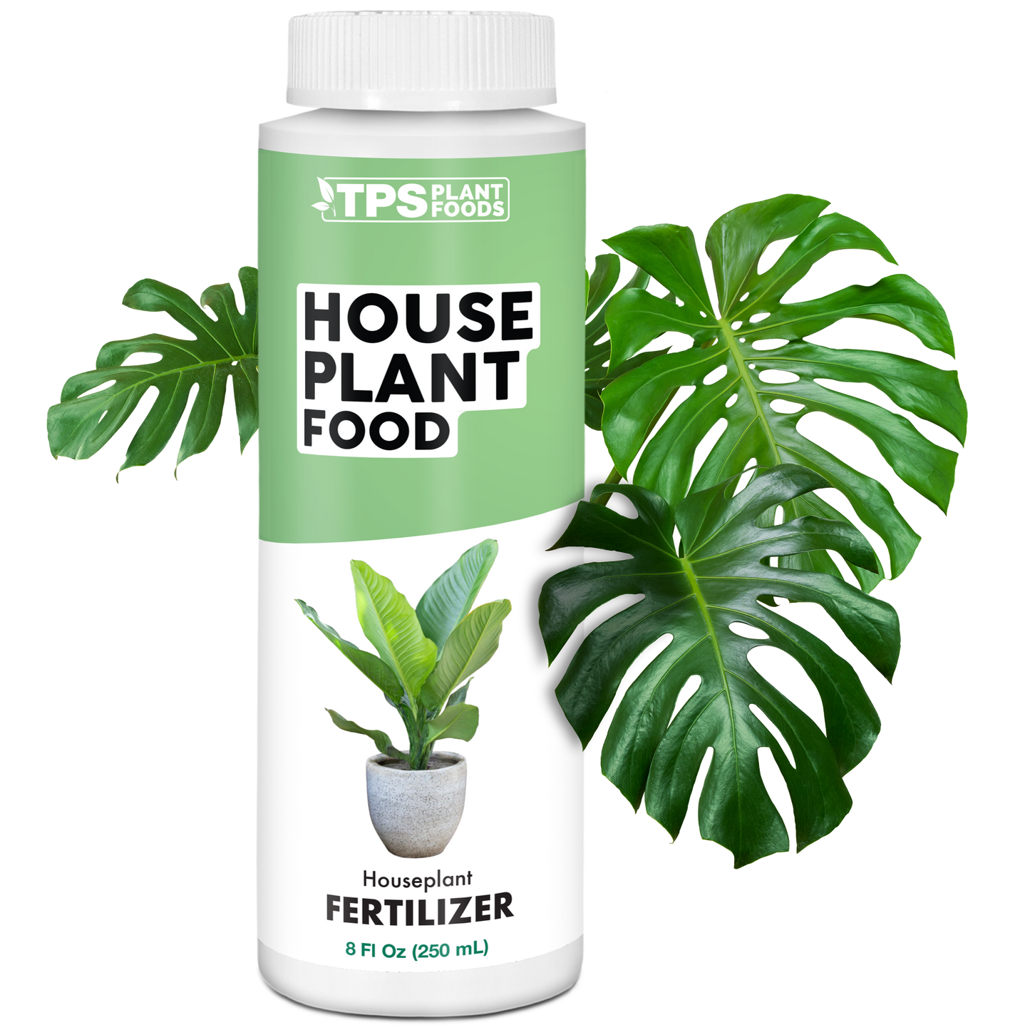House Plant Food