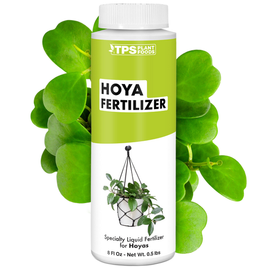 Hoya Fertilizer
