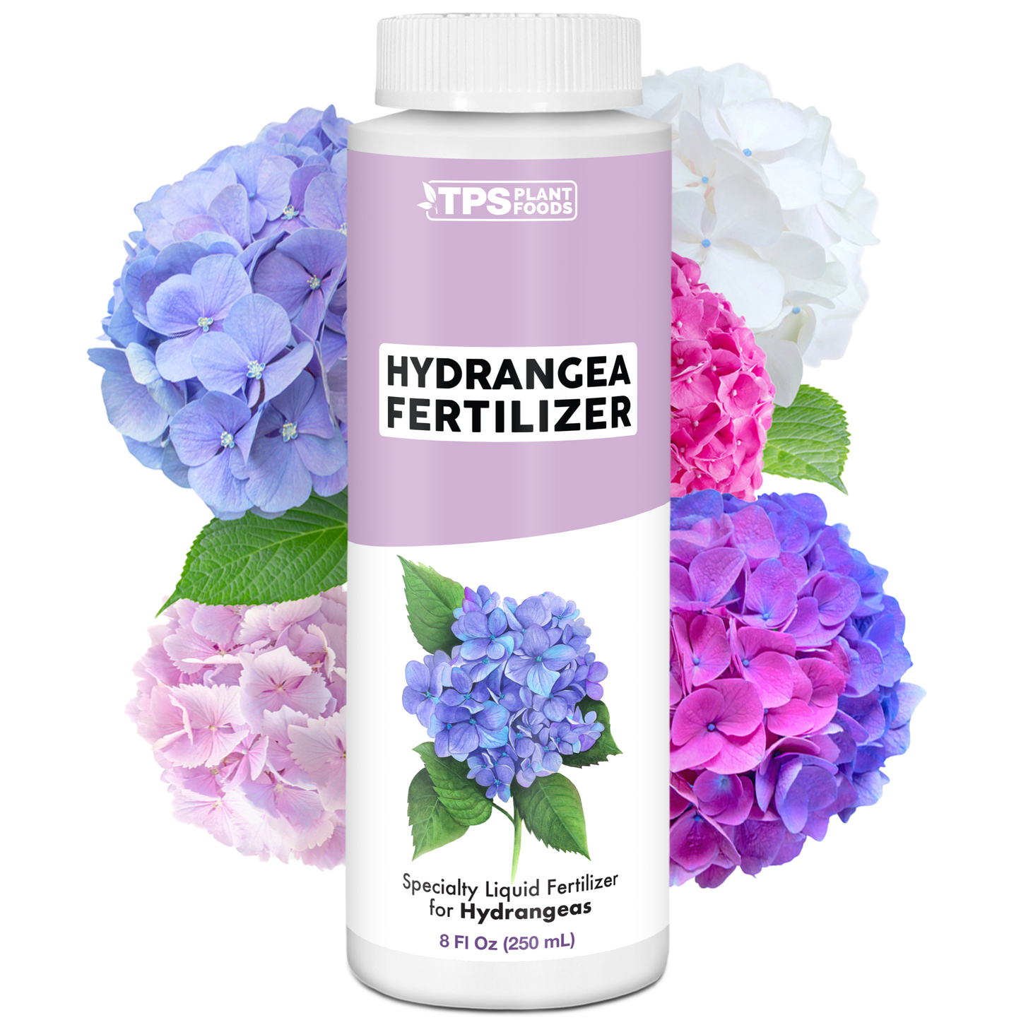 Hydrangea Fertilizer