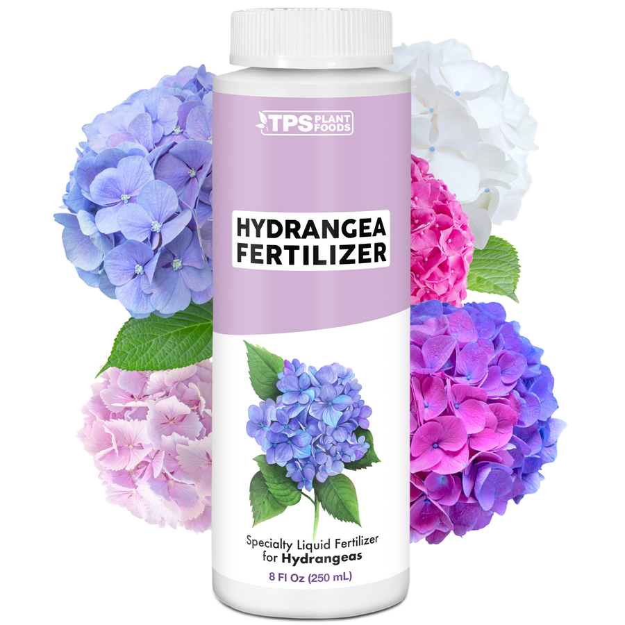 Hydrangea Fertilizer