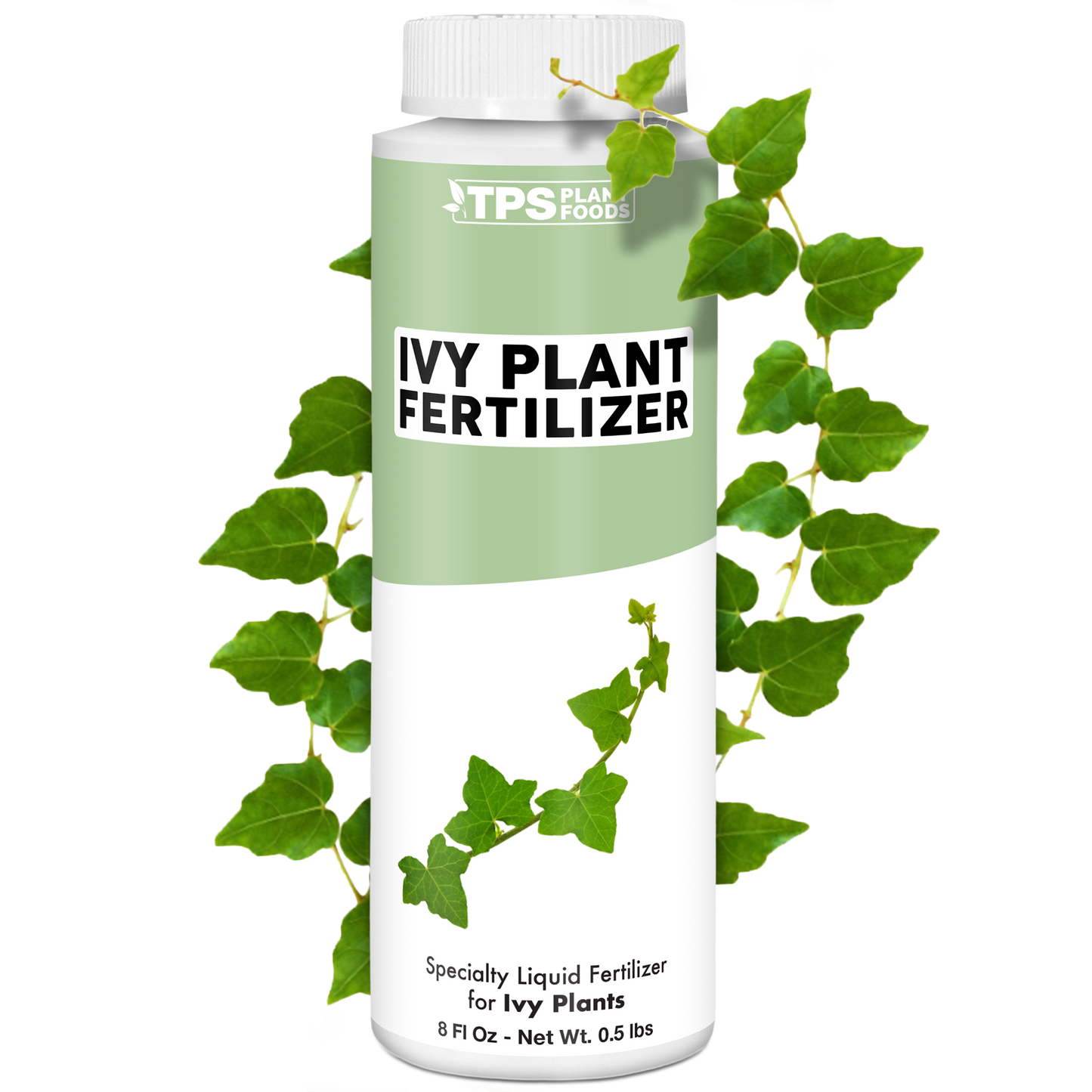 Ivy Plant Food