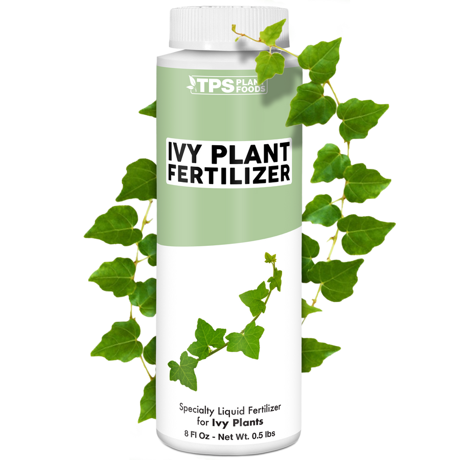 Ivy Plant Food