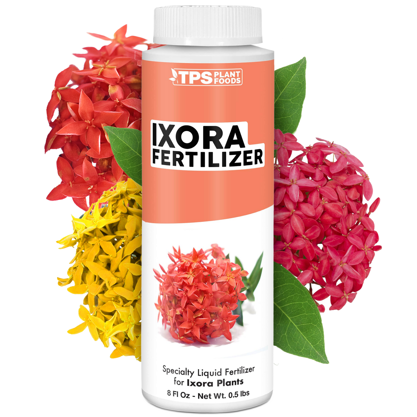 Ixora Fertilizer
