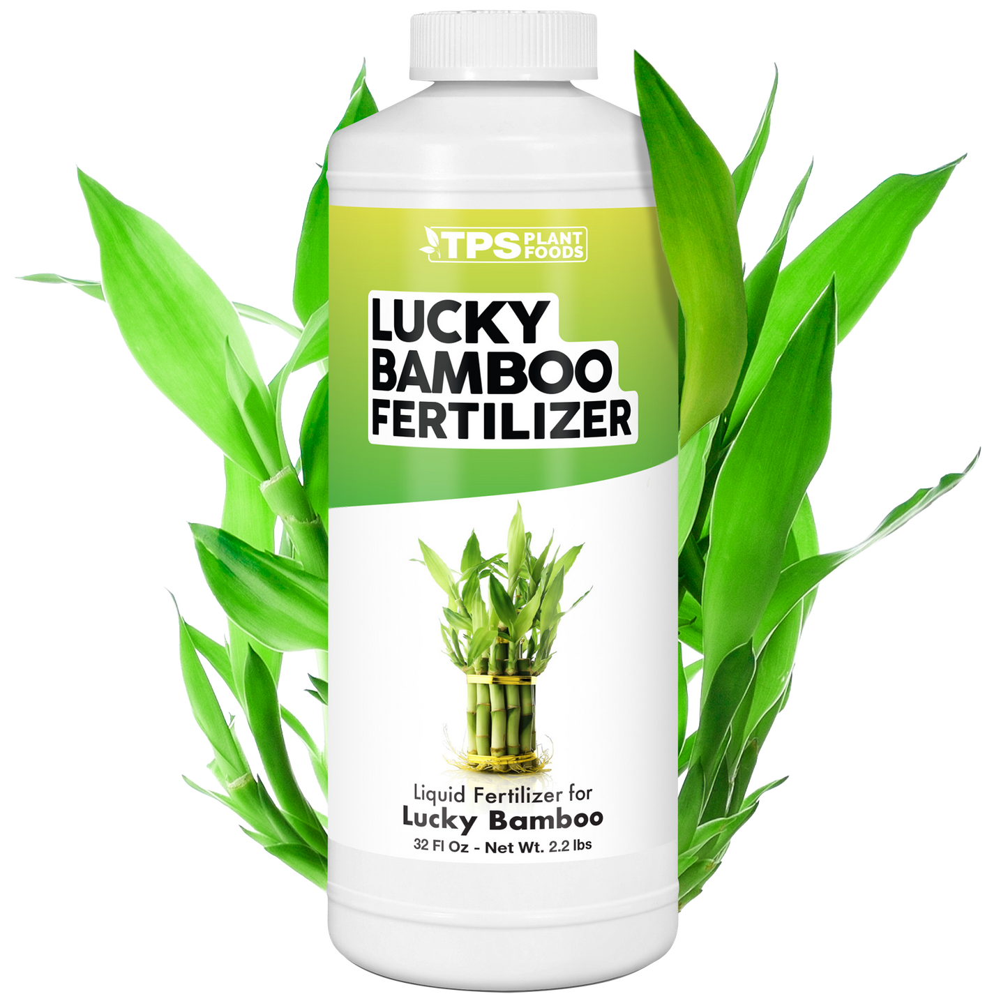 Lucky Bamboo Fertilizer
