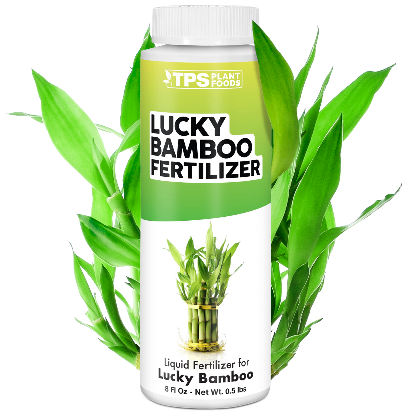 Lucky Bamboo Fertilizer