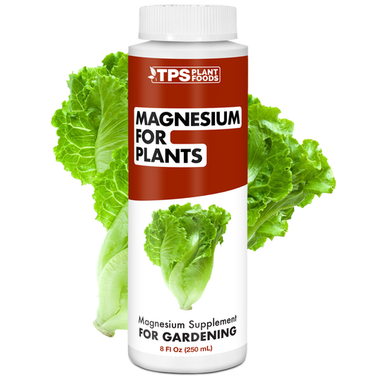 Magnesium for Plants