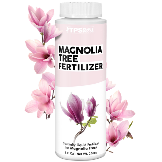 Magnolia Tree Fertilizer