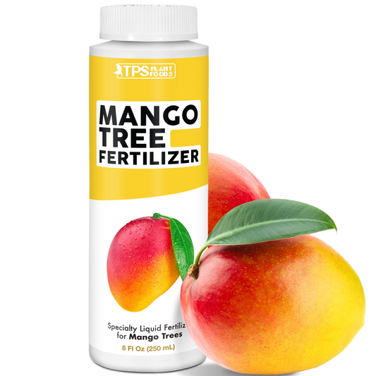 Mango Tree Fertilizer