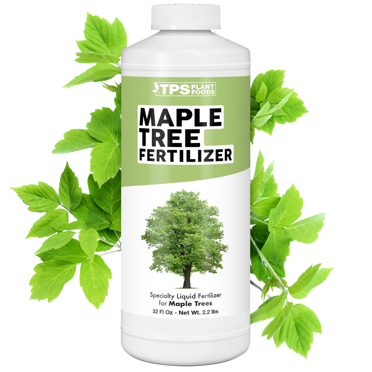 Maple Tree Fertilizer