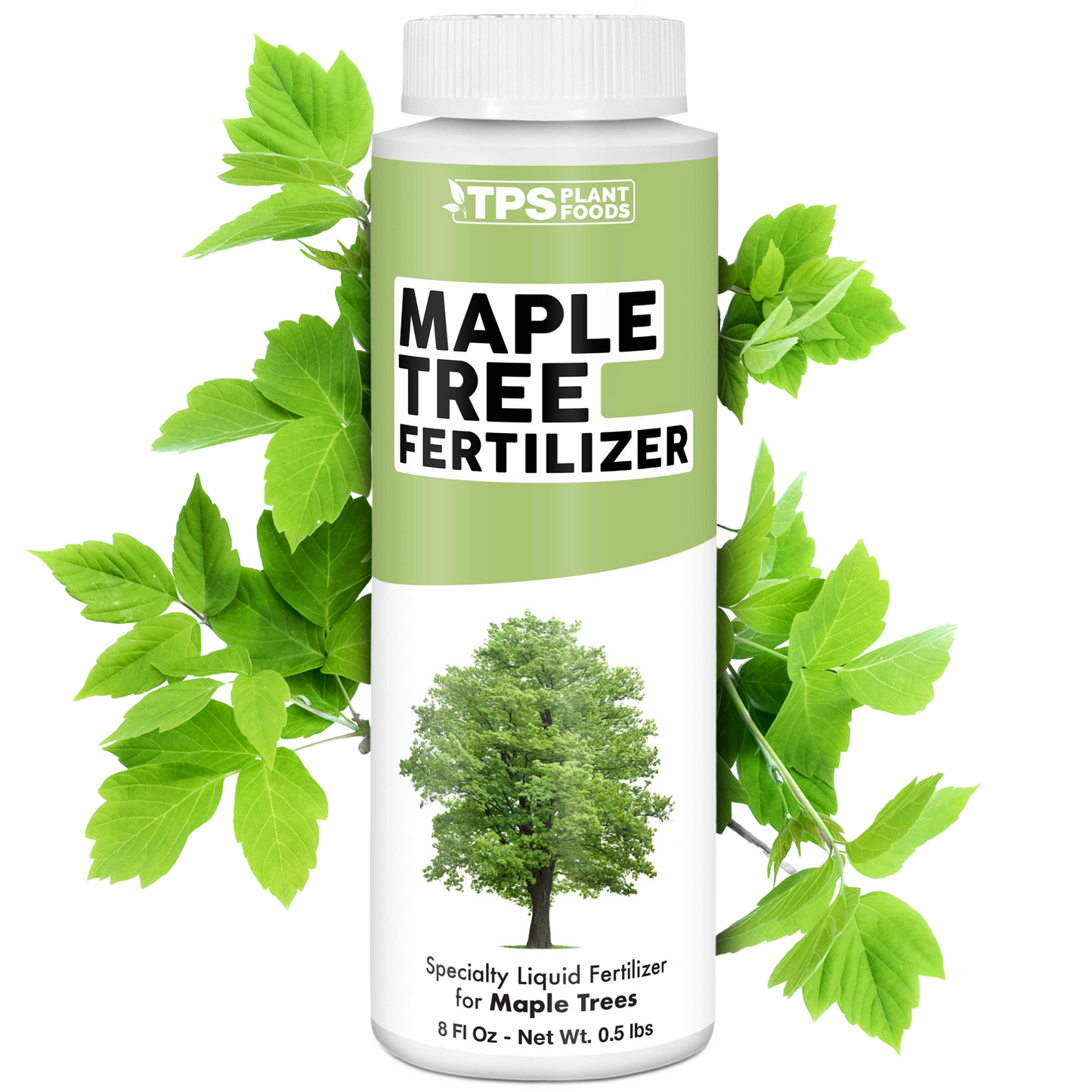 Maple Tree Fertilizer