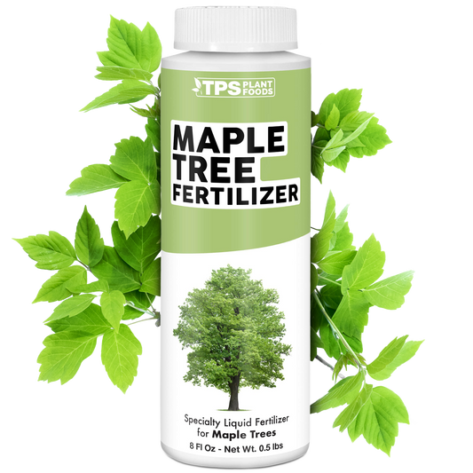 Maple Tree Fertilizer