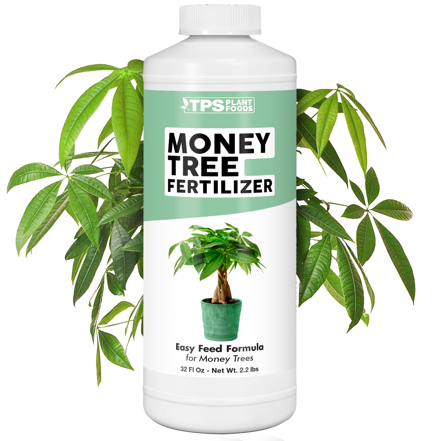 Money Tree Fertilizer