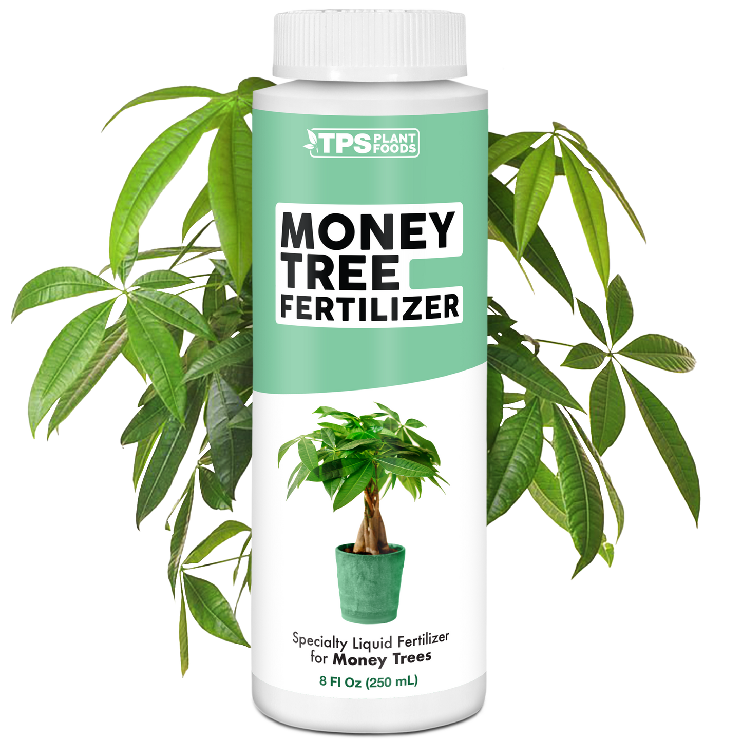 Money Tree Fertilizer