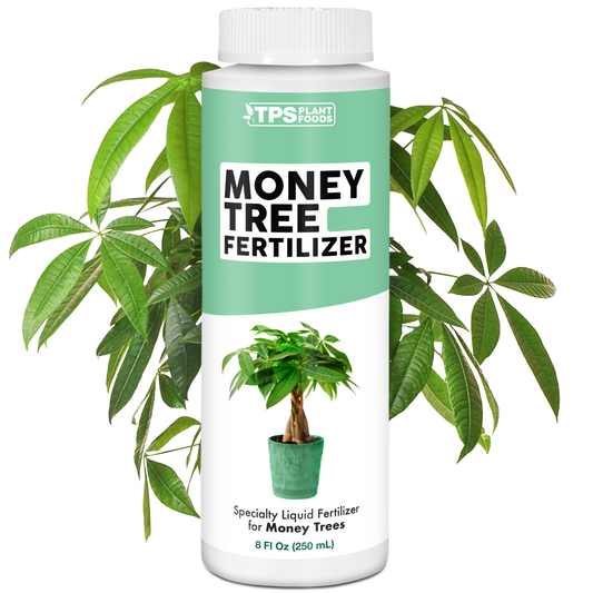 Money Tree Fertilizer