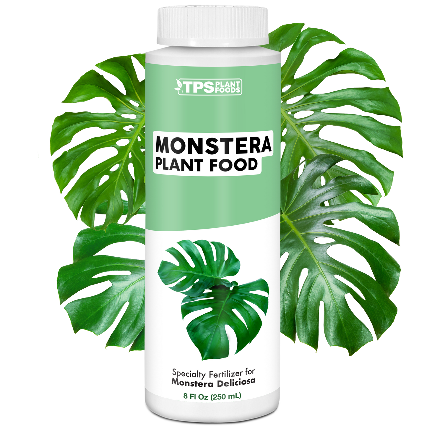 Monstera Plant Food