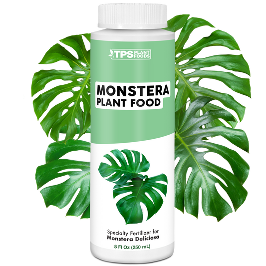 Monstera Plant Food