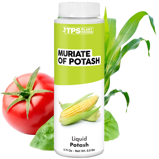 Muriate Of Potash